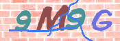 CAPTCHA 驗證圖片