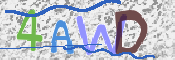 CAPTCHA 驗證圖片