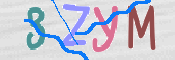 CAPTCHA 驗證圖片