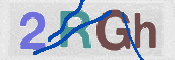 CAPTCHA 驗證圖片