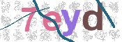 CAPTCHA 驗證圖片