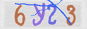 CAPTCHA 驗證圖片