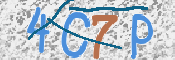 CAPTCHA 驗證圖片