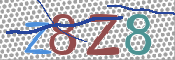 CAPTCHA 驗證圖片