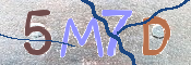 CAPTCHA 驗證圖片