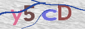 CAPTCHA 驗證圖片