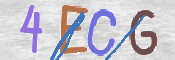 CAPTCHA 驗證圖片