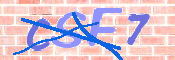 CAPTCHA 驗證圖片