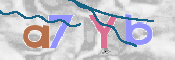 CAPTCHA 驗證圖片