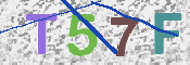 CAPTCHA 驗證圖片