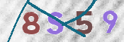 CAPTCHA 驗證圖片