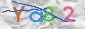 CAPTCHA 驗證圖片