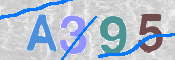 CAPTCHA 驗證圖片