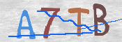 CAPTCHA 驗證圖片
