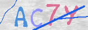 CAPTCHA 驗證圖片