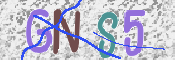 CAPTCHA 驗證圖片