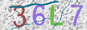 CAPTCHA 驗證圖片