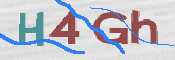 CAPTCHA 驗證圖片