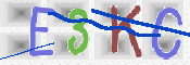 CAPTCHA 驗證圖片
