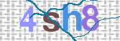 CAPTCHA 驗證圖片