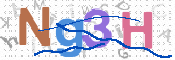CAPTCHA 驗證圖片