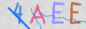 CAPTCHA 驗證圖片