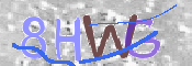 CAPTCHA 驗證圖片