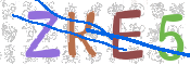 CAPTCHA 驗證圖片