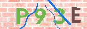 CAPTCHA 驗證圖片