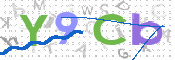 CAPTCHA 驗證圖片
