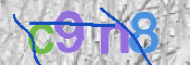 CAPTCHA 驗證圖片