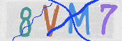 CAPTCHA 驗證圖片