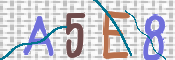 CAPTCHA 驗證圖片