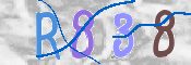 CAPTCHA 驗證圖片