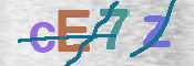CAPTCHA 驗證圖片