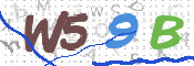 CAPTCHA 驗證圖片