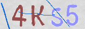 CAPTCHA 驗證圖片