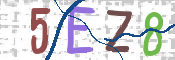 CAPTCHA 驗證圖片
