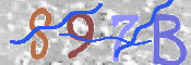 CAPTCHA 驗證圖片