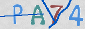 CAPTCHA 驗證圖片