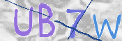 CAPTCHA 驗證圖片