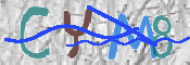 CAPTCHA 驗證圖片