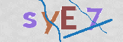 CAPTCHA 驗證圖片