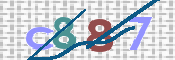 CAPTCHA 驗證圖片