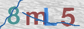 CAPTCHA 驗證圖片