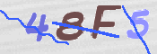 CAPTCHA 驗證圖片