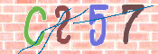 CAPTCHA 驗證圖片
