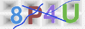 CAPTCHA 驗證圖片