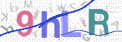 CAPTCHA 驗證圖片