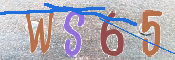 CAPTCHA 驗證圖片